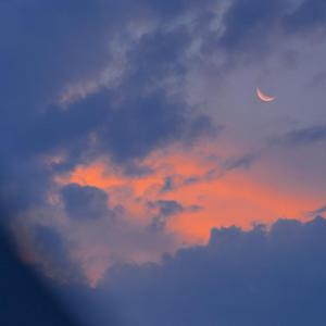 妇女做爱偷情视频
